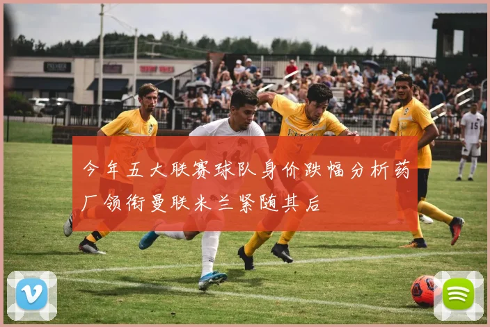 今年五大联赛球队身价跌幅分析药厂领衔曼联米兰紧随其后